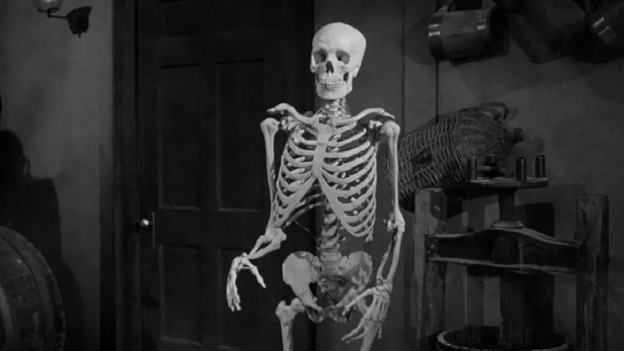 The Lost Skeleton of Cadavra Backdrop