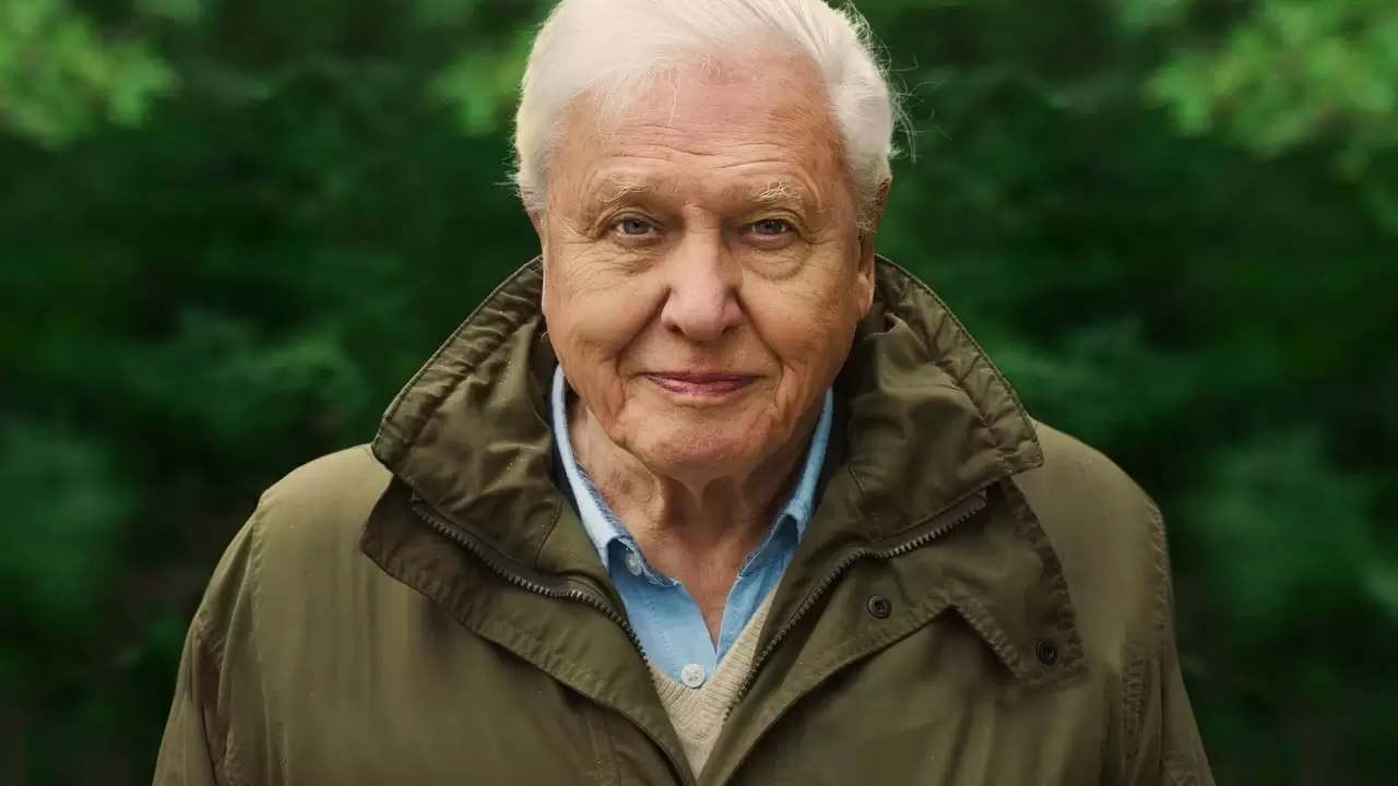 David Attenborough: A Life on Our Planet Backdrop