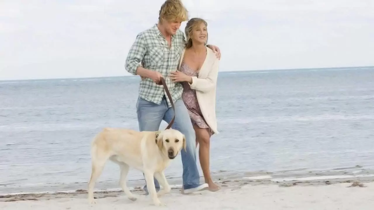 Marley & Me Backdrop