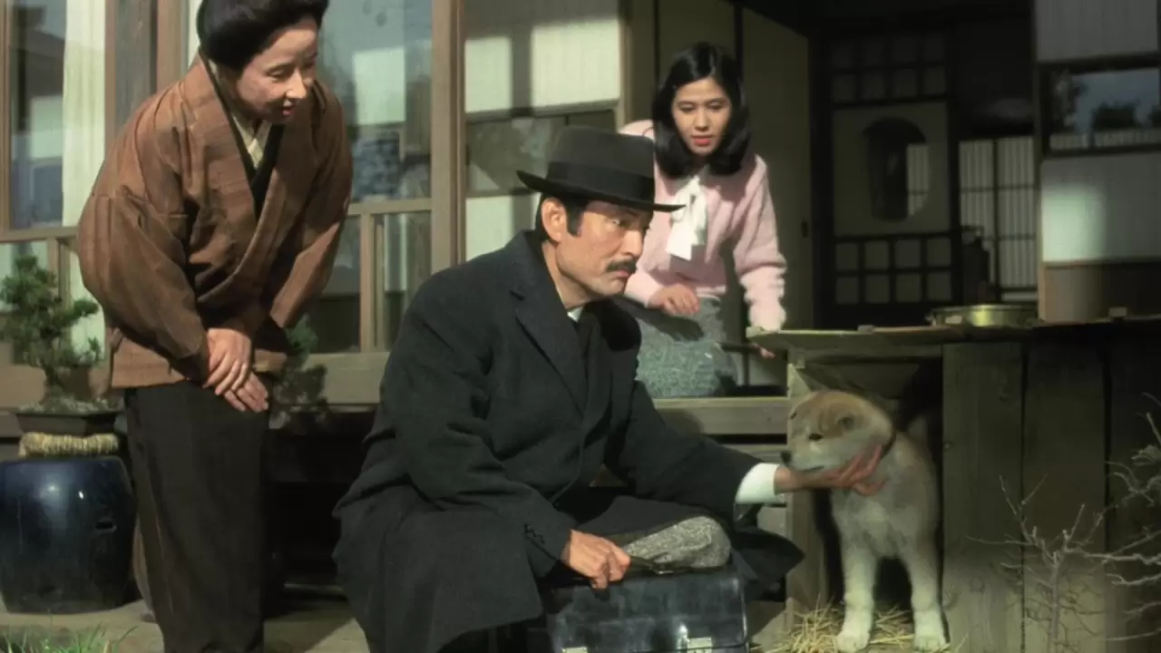 Hachi-ko Backdrop