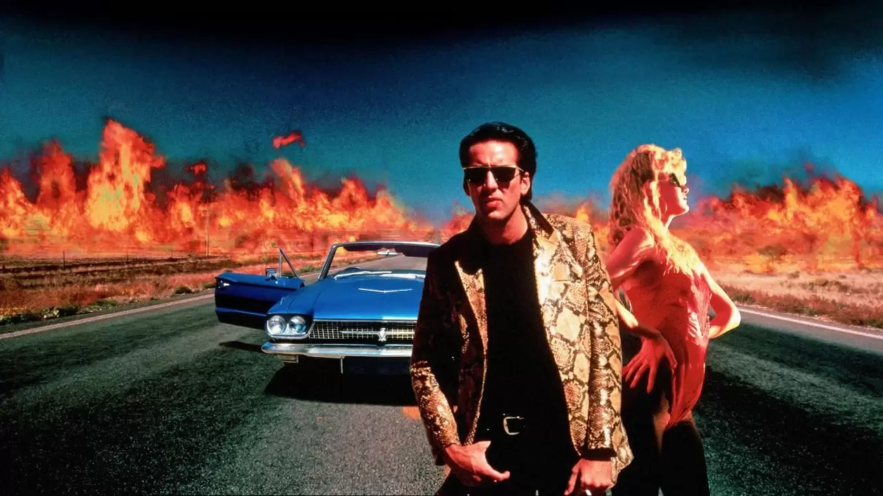 Wild at Heart Backdrop