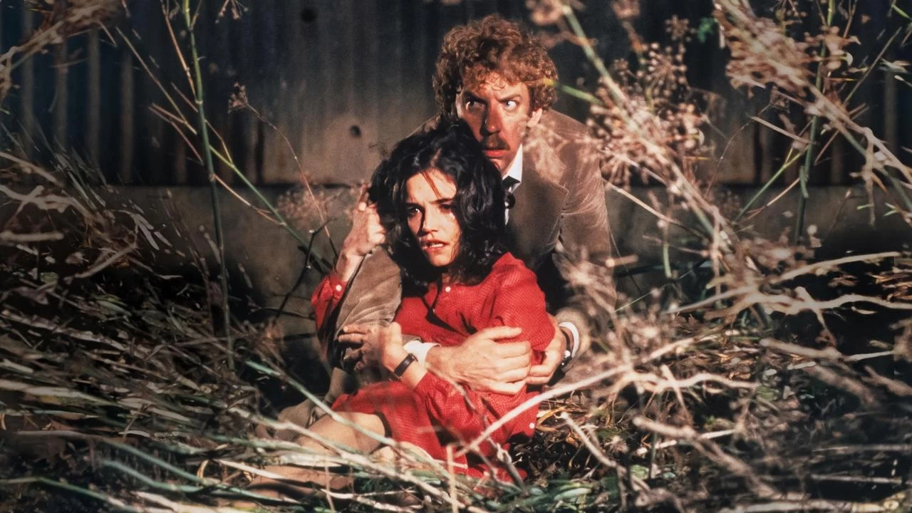 Invasion of the Body Snatchers Backdrop