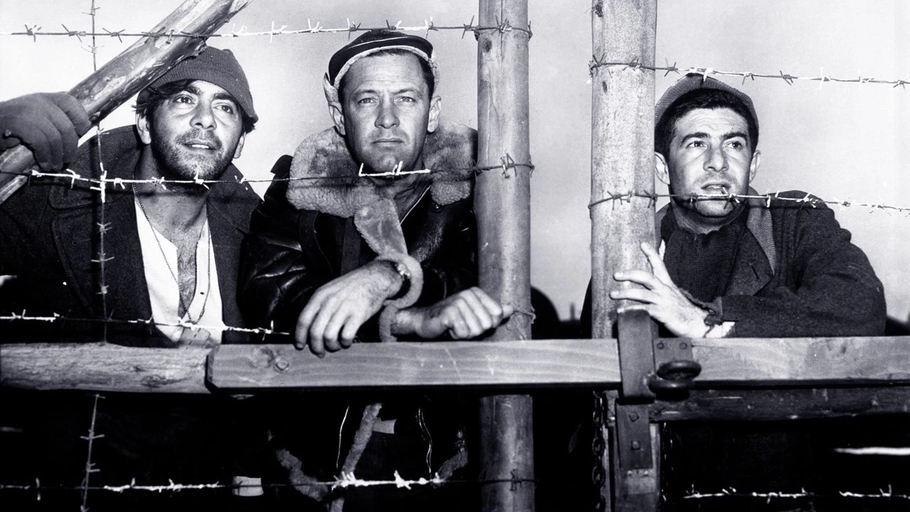 Stalag 17 Backdrop