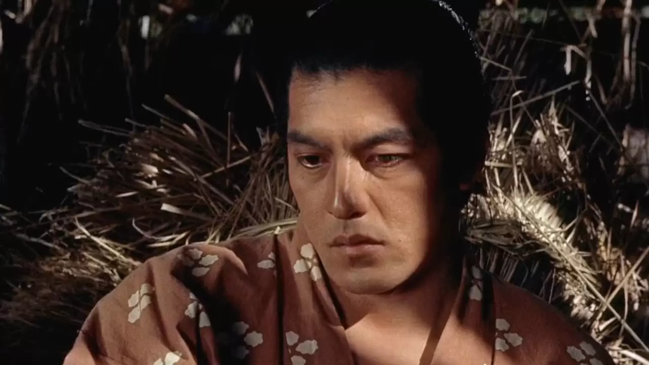 Samurai I: Musashi Miyamoto Backdrop