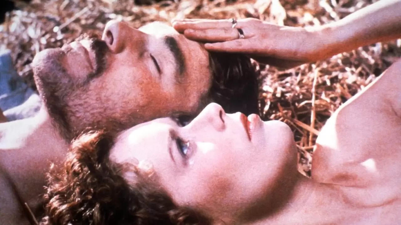 Lady Chatterley's Lover Backdrop