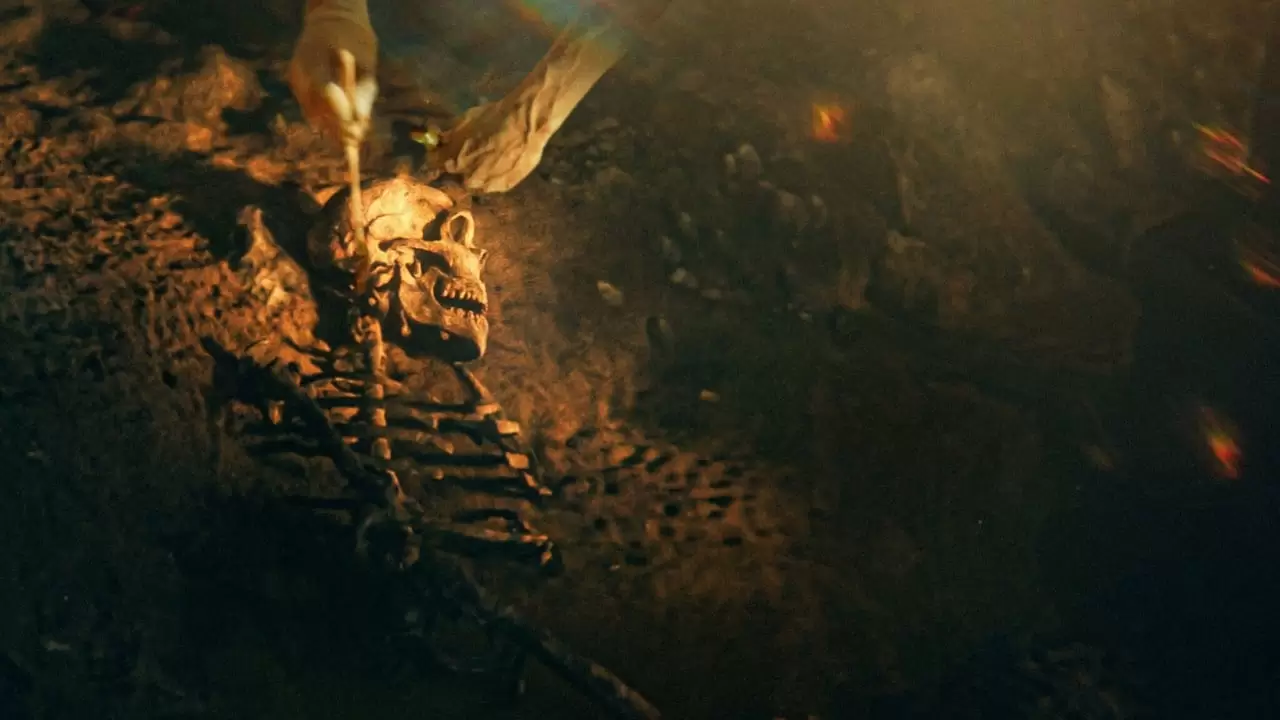 Secrets of the Neanderthals Backdrop