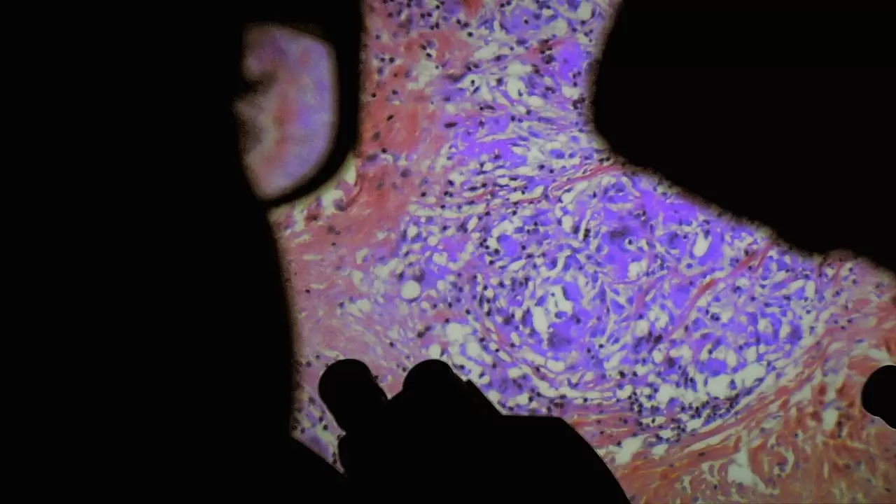 The Fabric of the Human Body Backdrop