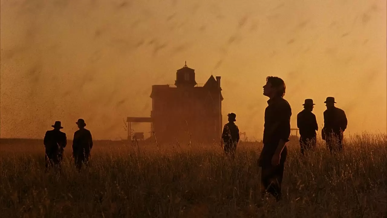 Days of Heaven Backdrop