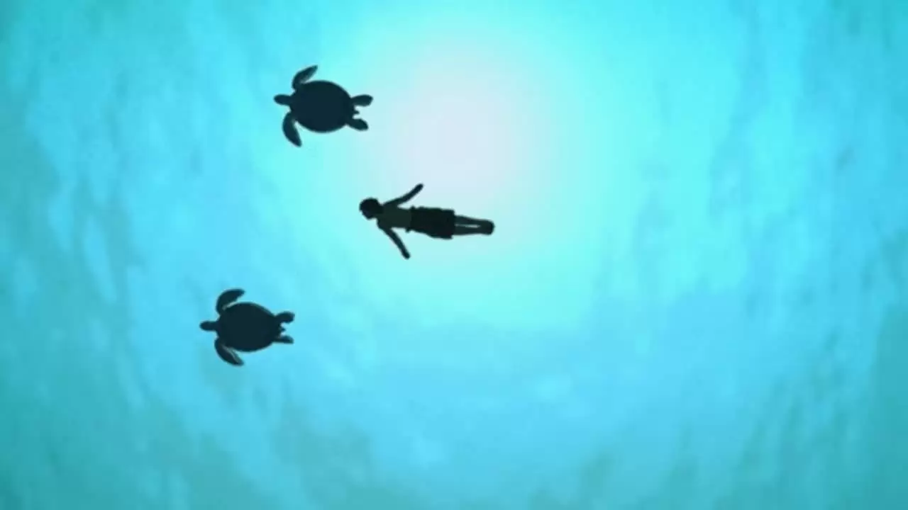 The Red Turtle Backdrop