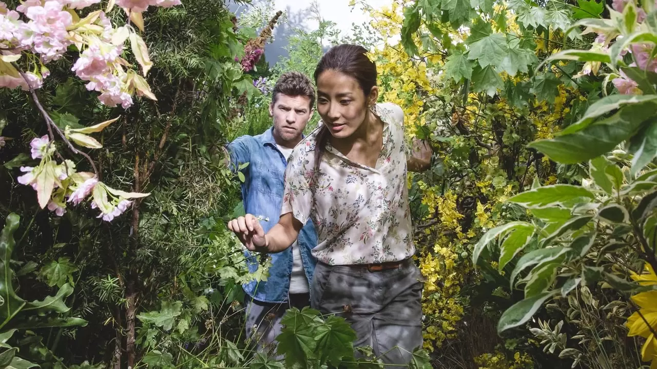 The Shack Backdrop