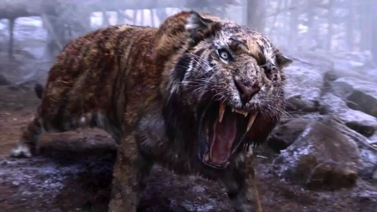 The Tiger Backdrop