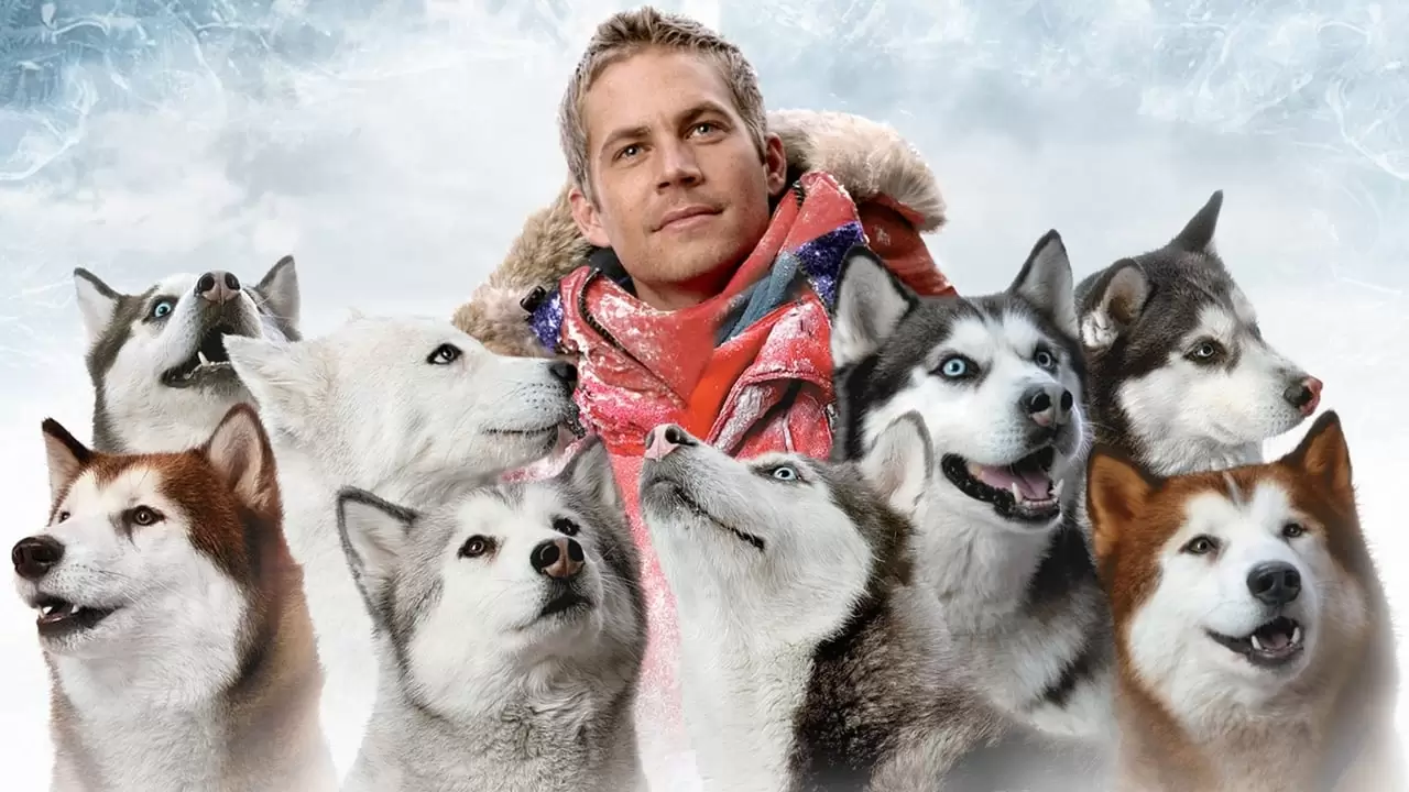 Eight Below Backdrop