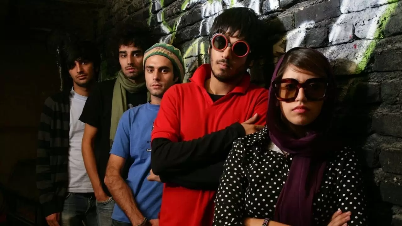 No One Knows About Persian Cats Backdrop