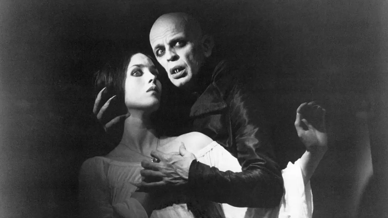 Nosferatu the Vampyre Backdrop