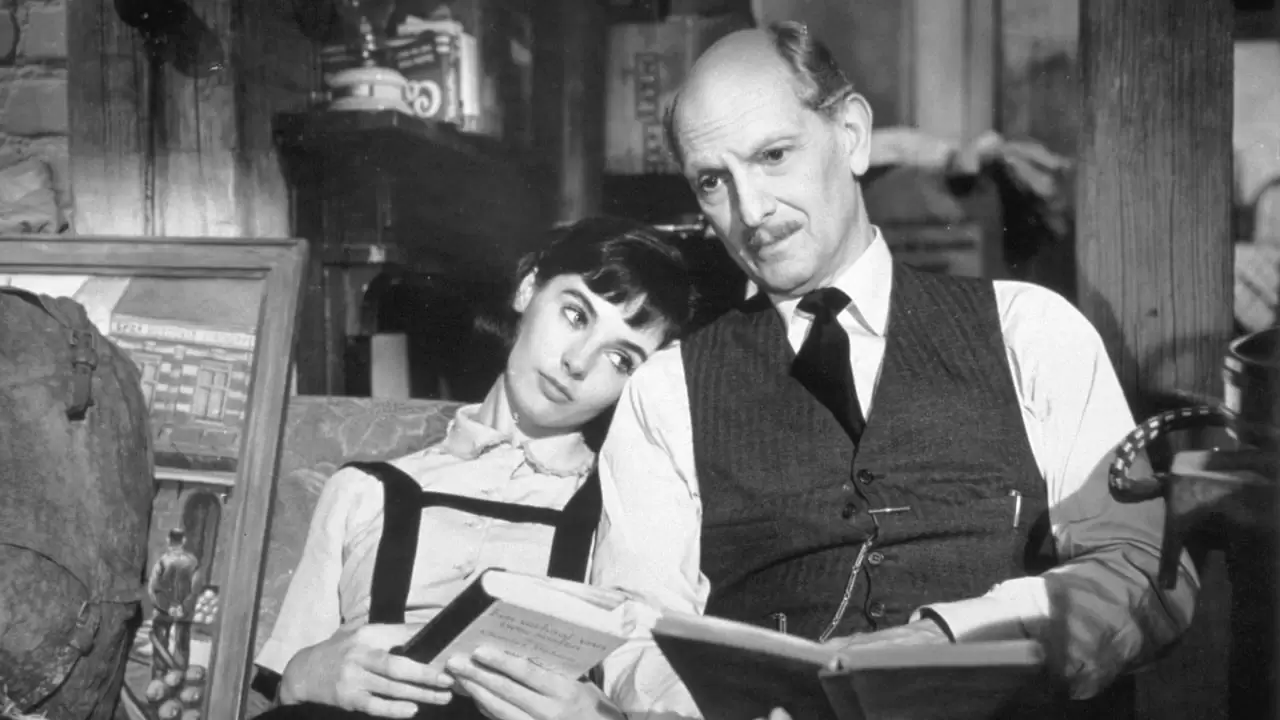 The Diary of Anne Frank Backdrop