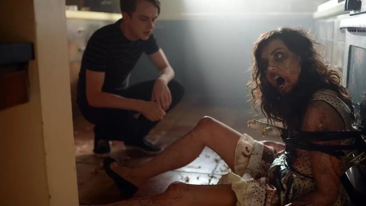 Life After Beth Backdrop