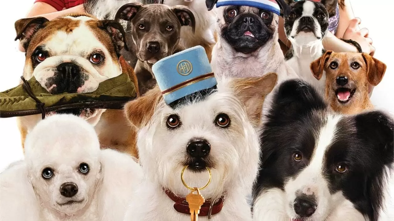 Hotel for Dogs Backdrop