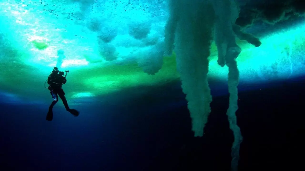 Encounters at the End of the World Backdrop