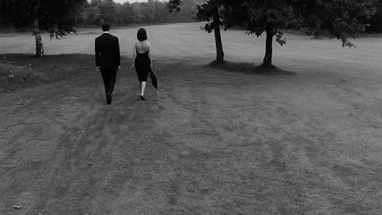 La Notte Backdrop