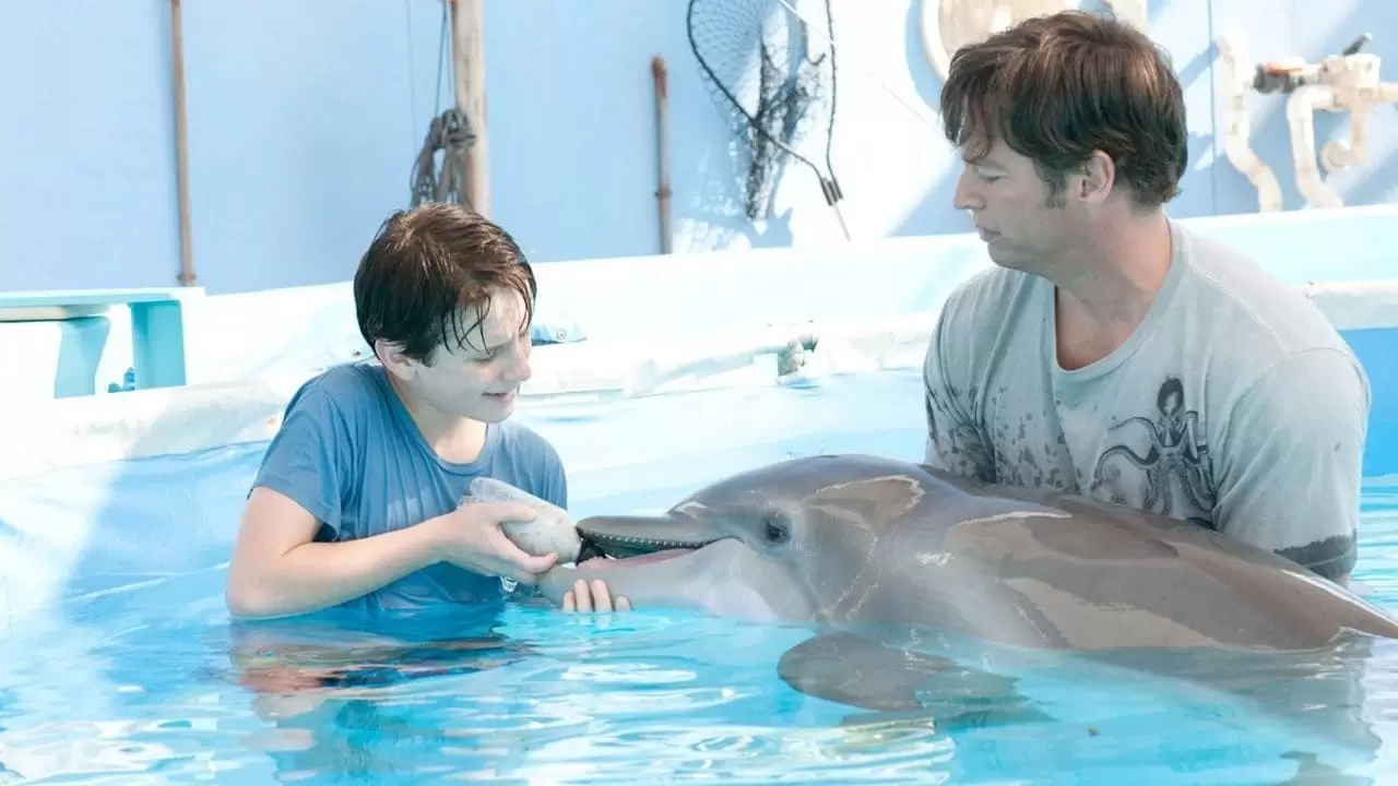 Dolphin Tale Backdrop