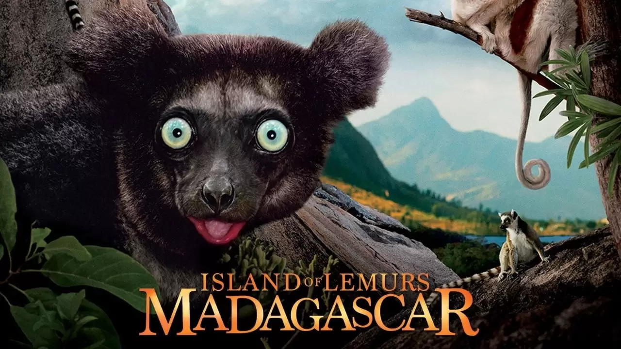 Island of Lemurs: Madagascar Backdrop