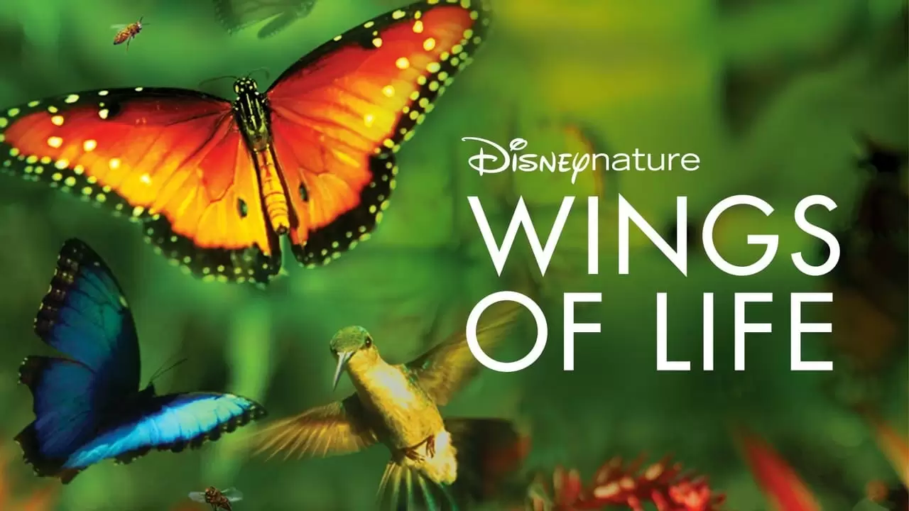 Disneynature: Wings of Life Backdrop