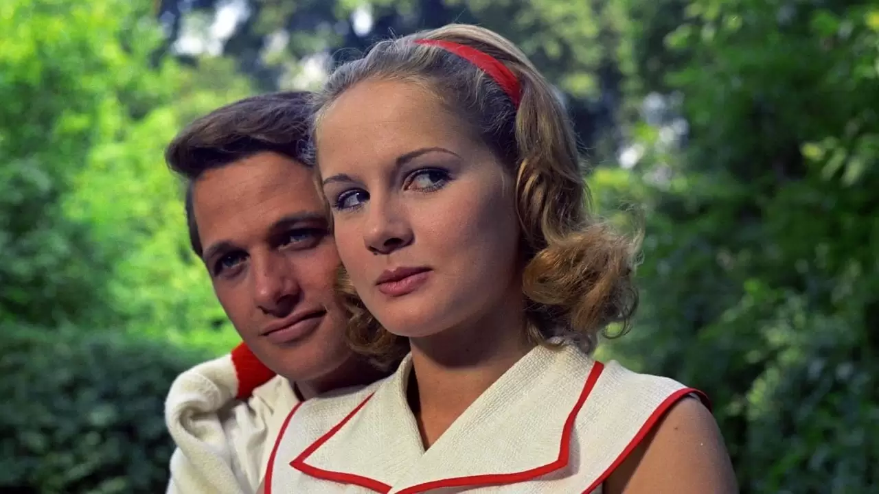 The Garden of the Finzi-Continis Backdrop