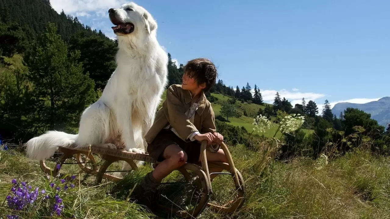 Belle & Sebastian: The Adventure Continues Backdrop