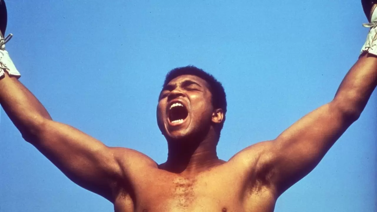 Facing Ali Backdrop