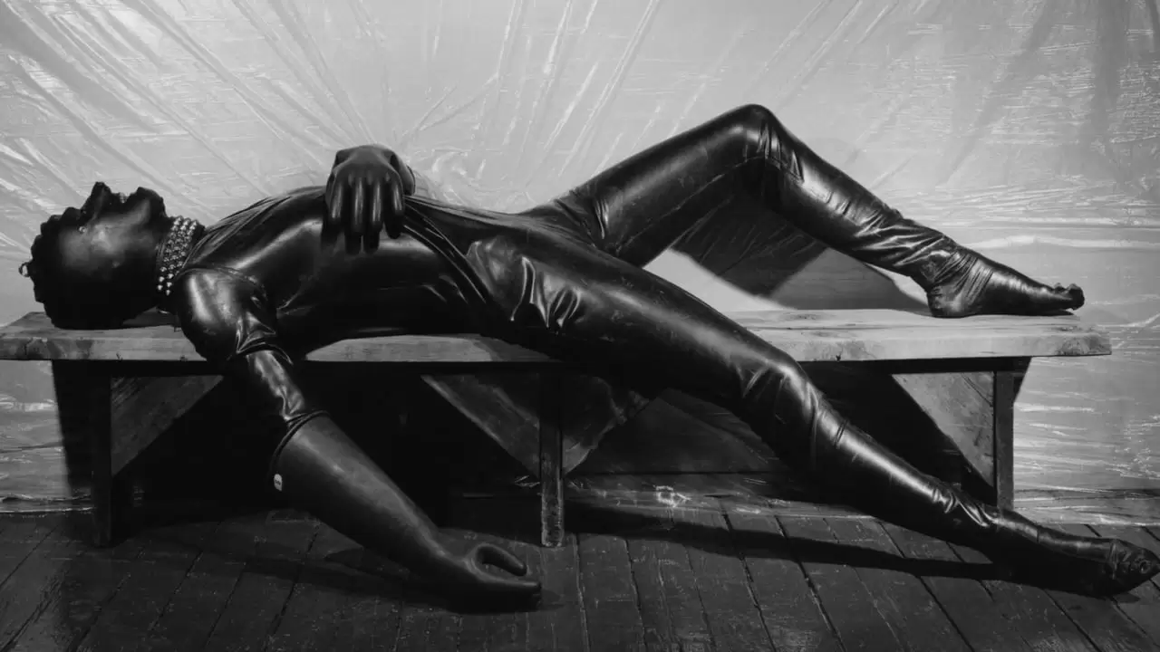 Mapplethorpe: Look at the Pictures Backdrop