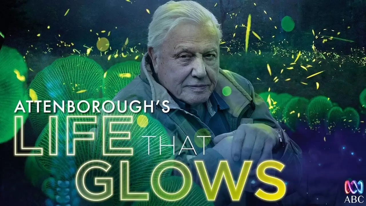 Attenborough's Life That Glows Backdrop
