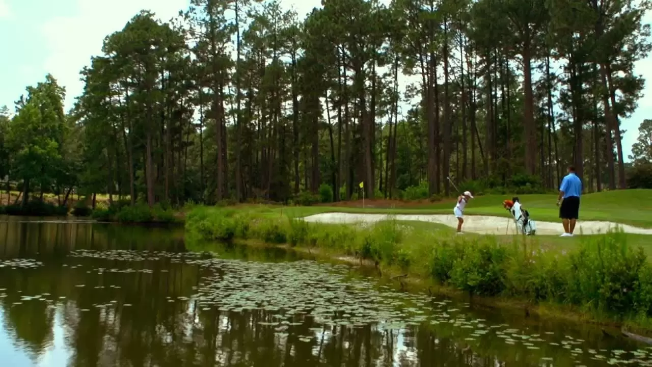 The Short Game Backdrop