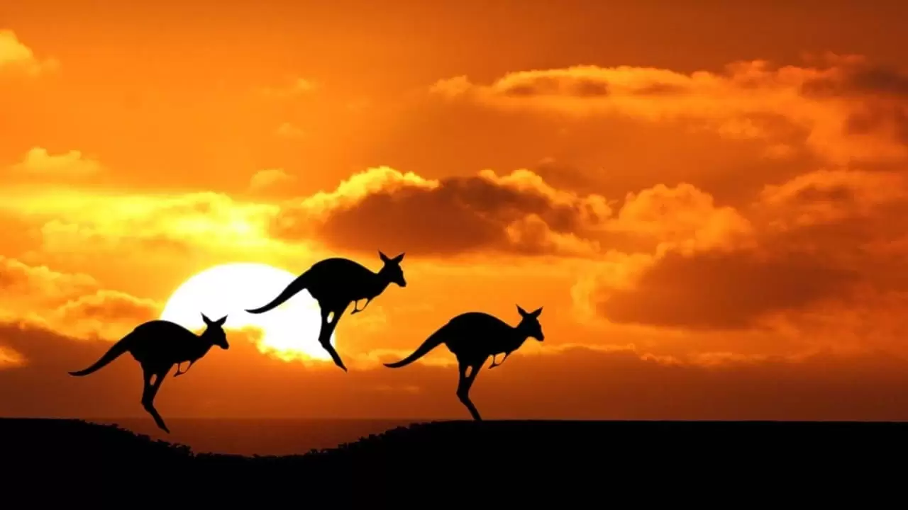 Australia: Land Beyond Time Backdrop