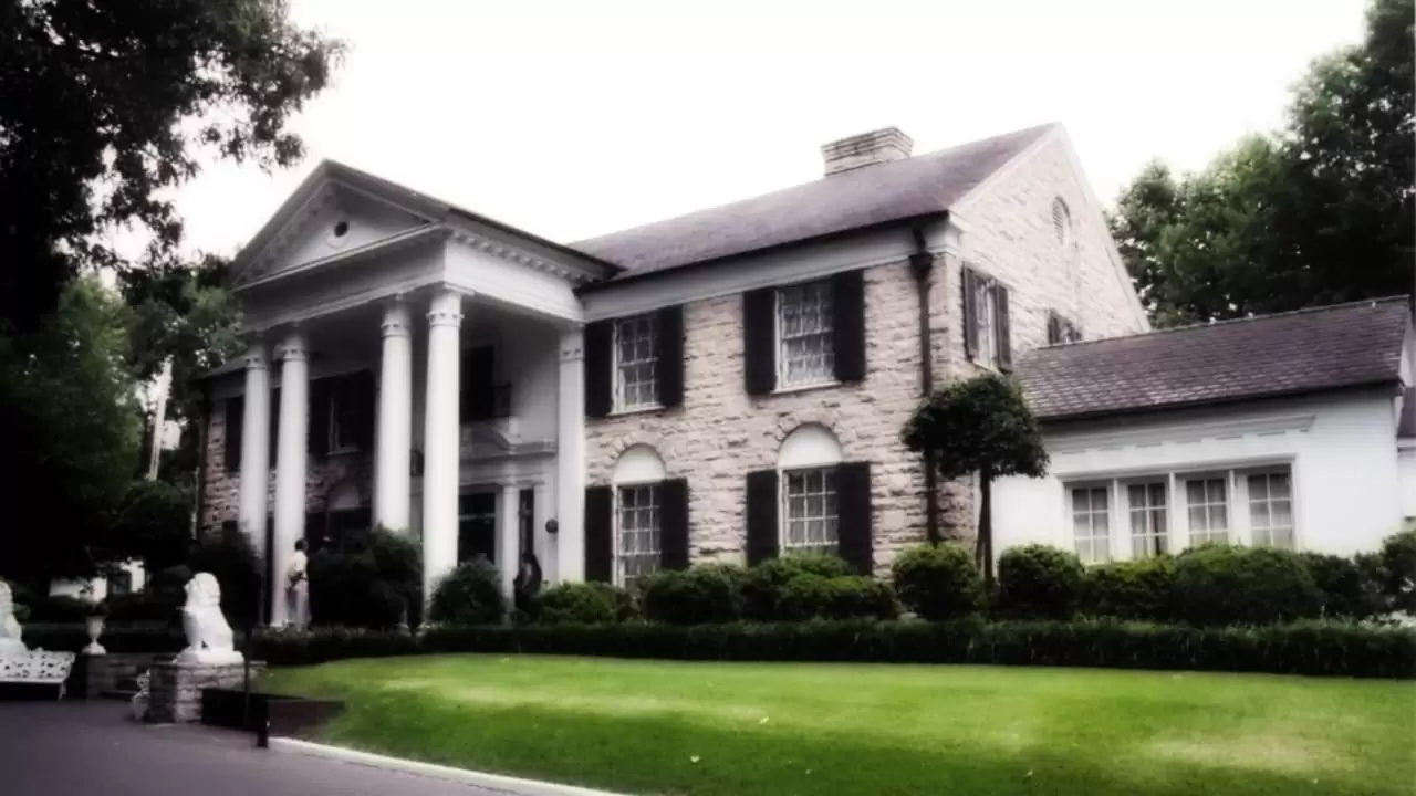Finding Graceland Backdrop