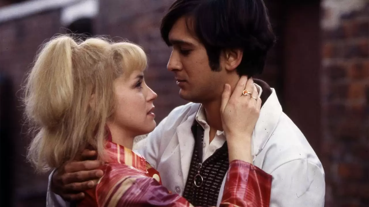 East Is East Backdrop