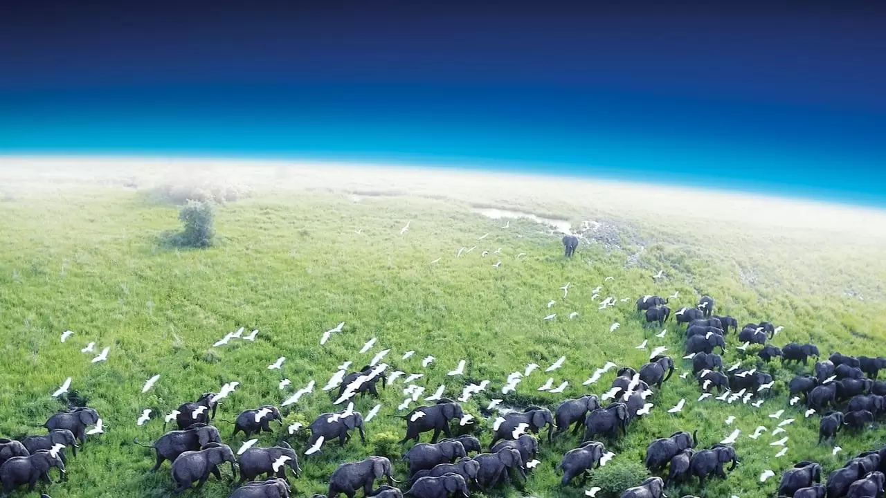 Planet Earth Backdrop