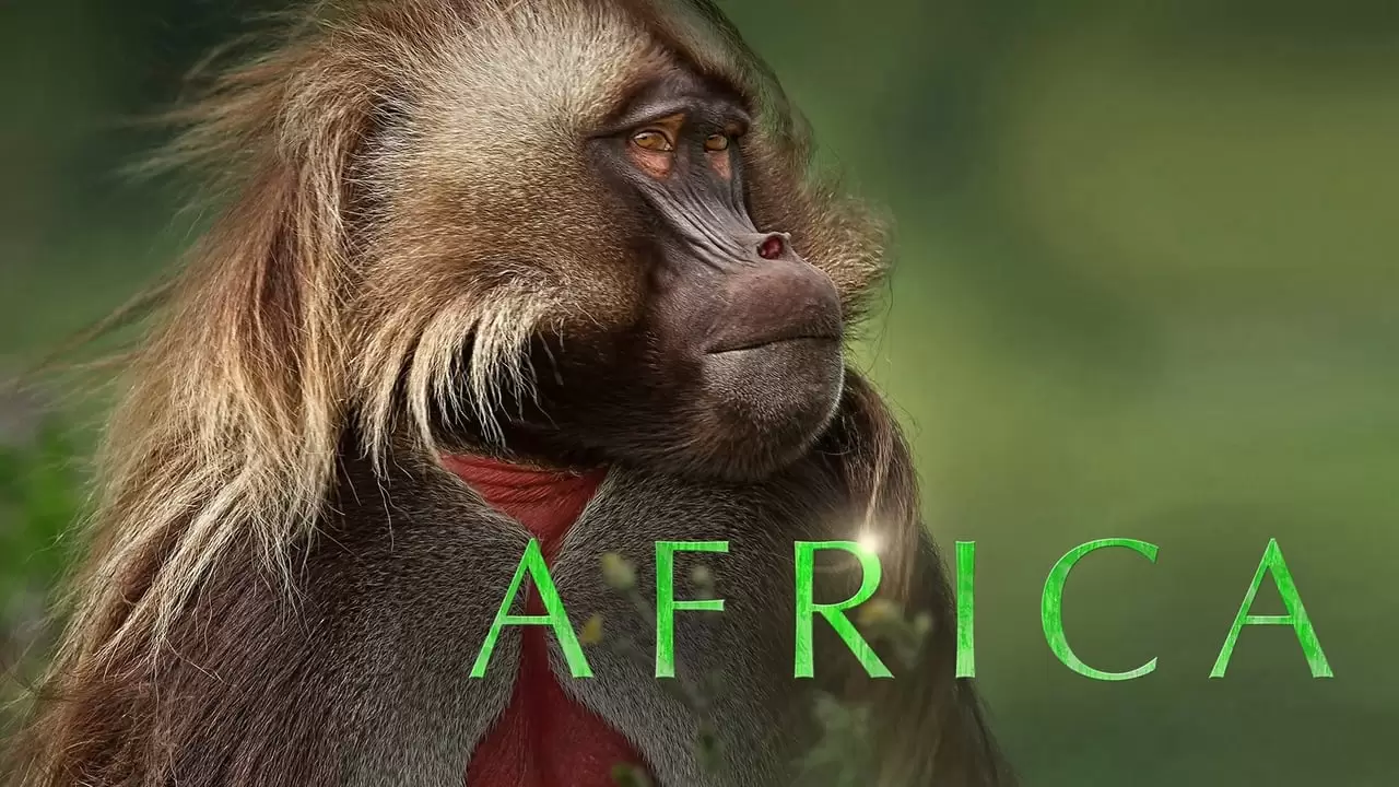 Africa Backdrop