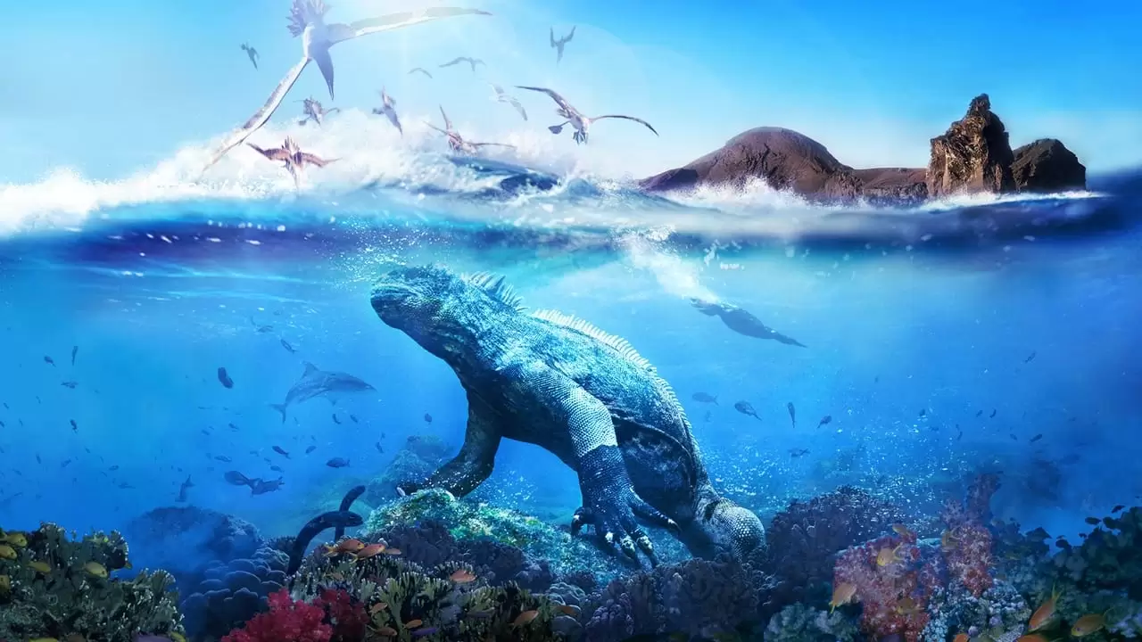 Galapagos Backdrop