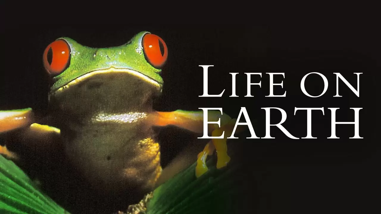 Life on Earth Backdrop