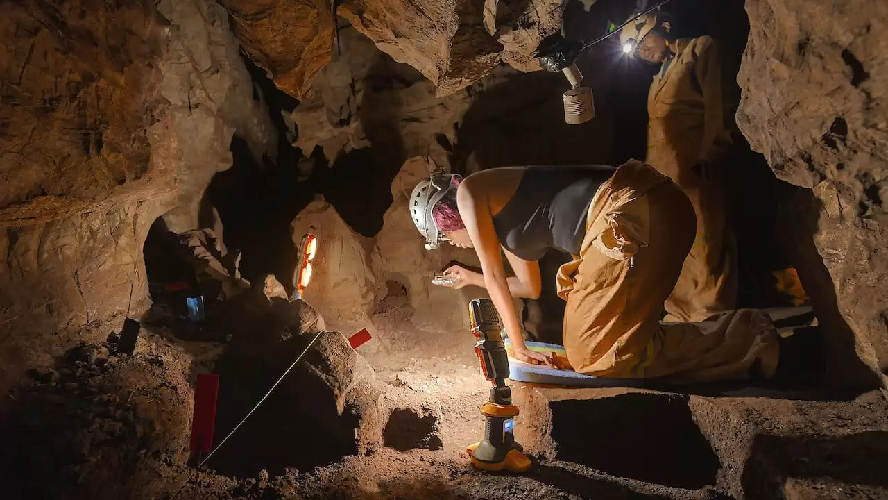 Unknown: Cave of Bones Backdrop