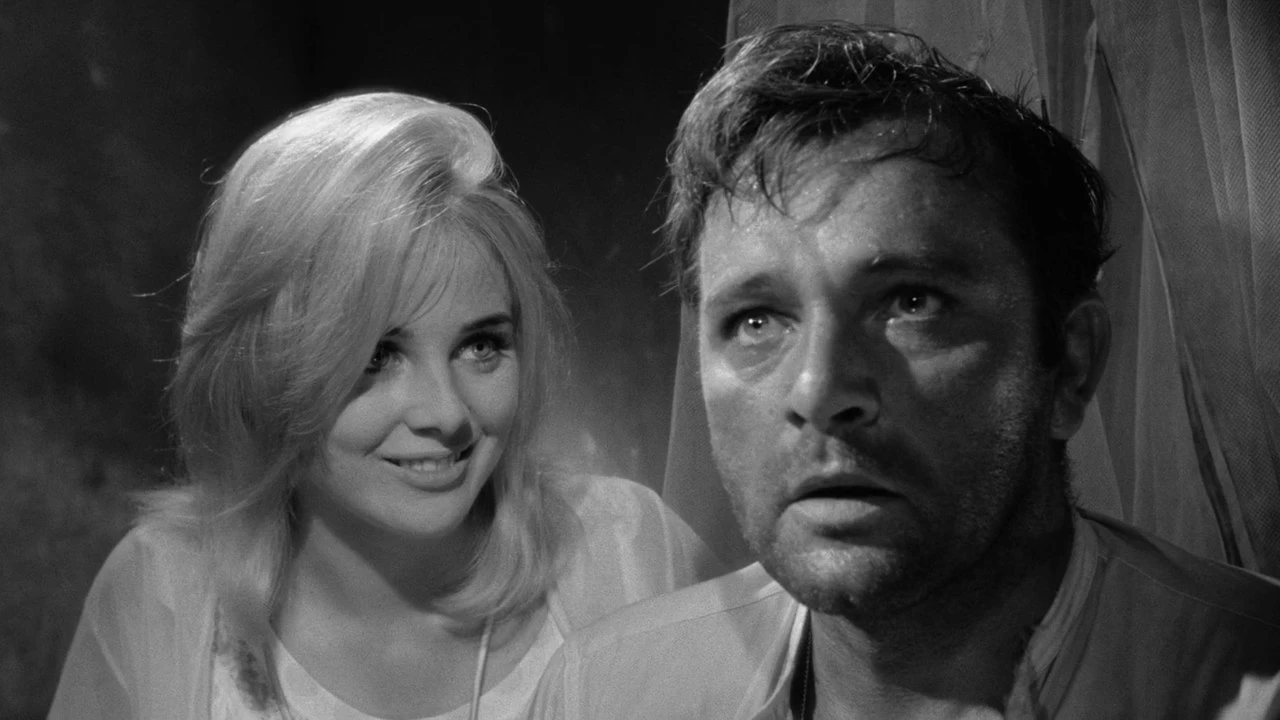 The Night of the Iguana Backdrop