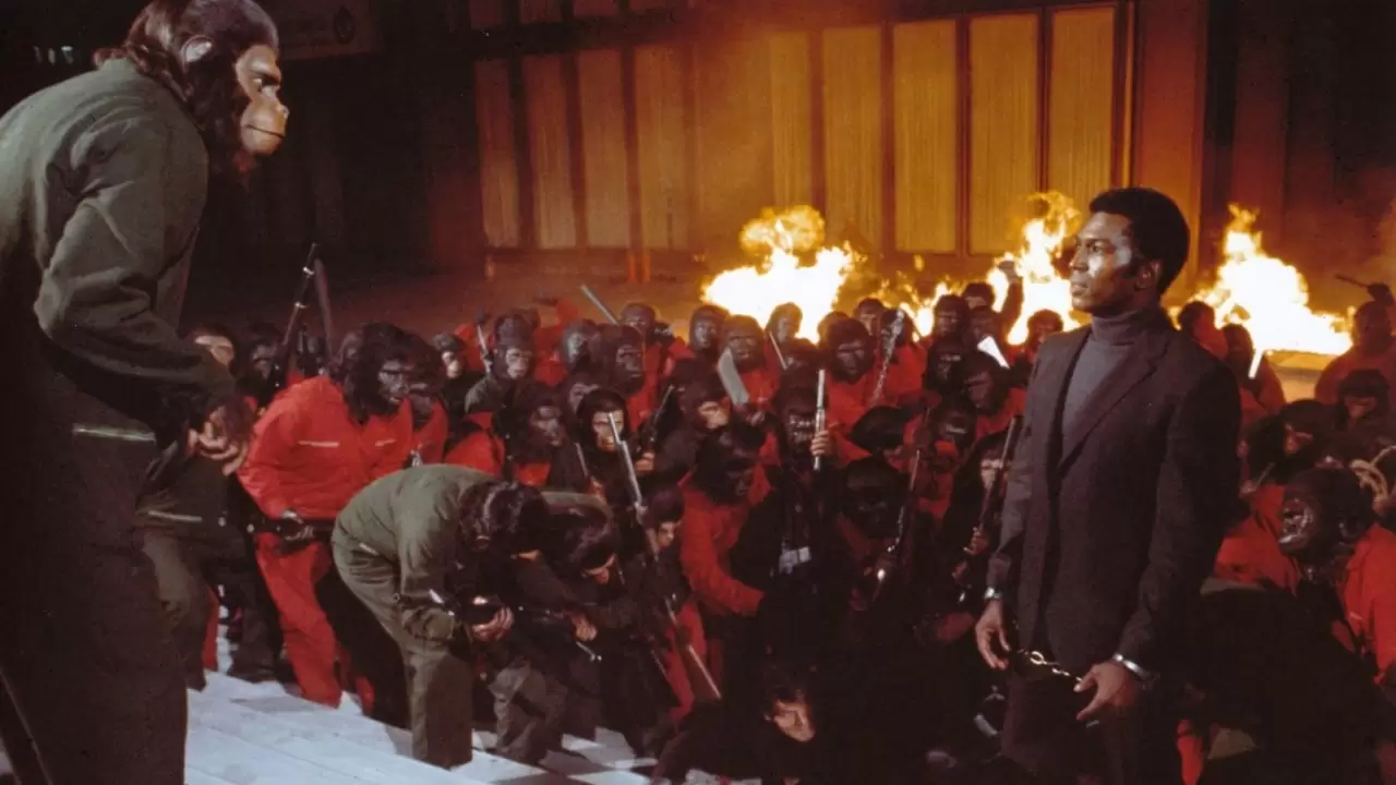 Conquest of the Planet of the Apes Backdrop