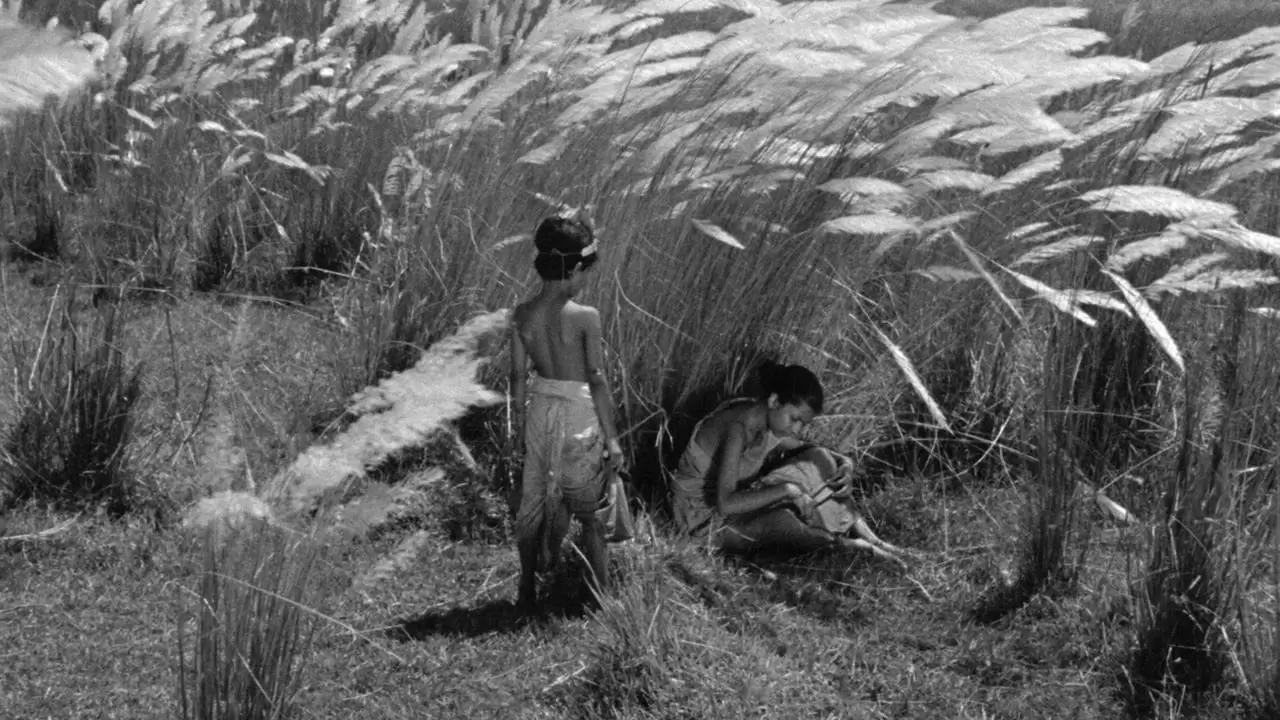 Pather Panchali Backdrop
