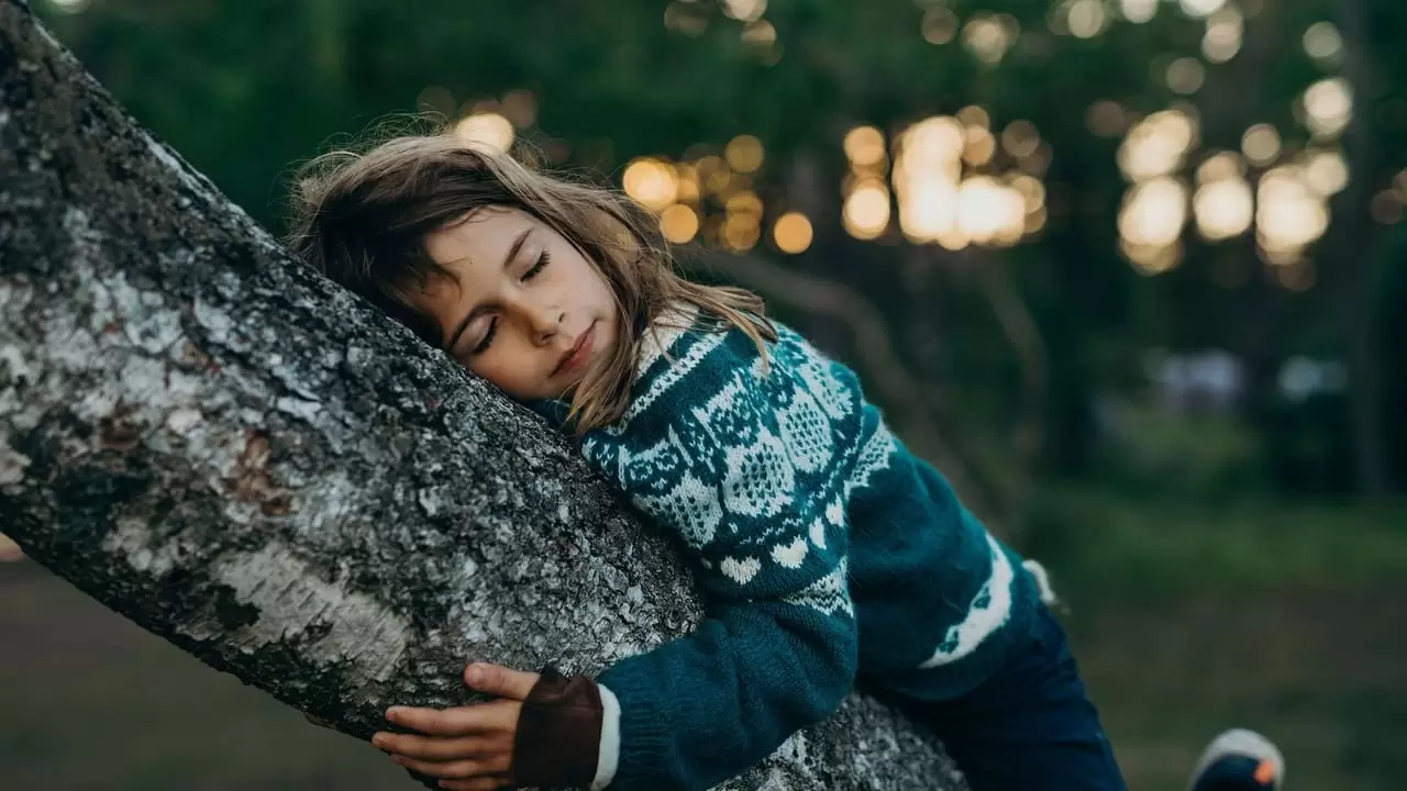 A New Kind of Wilderness Backdrop