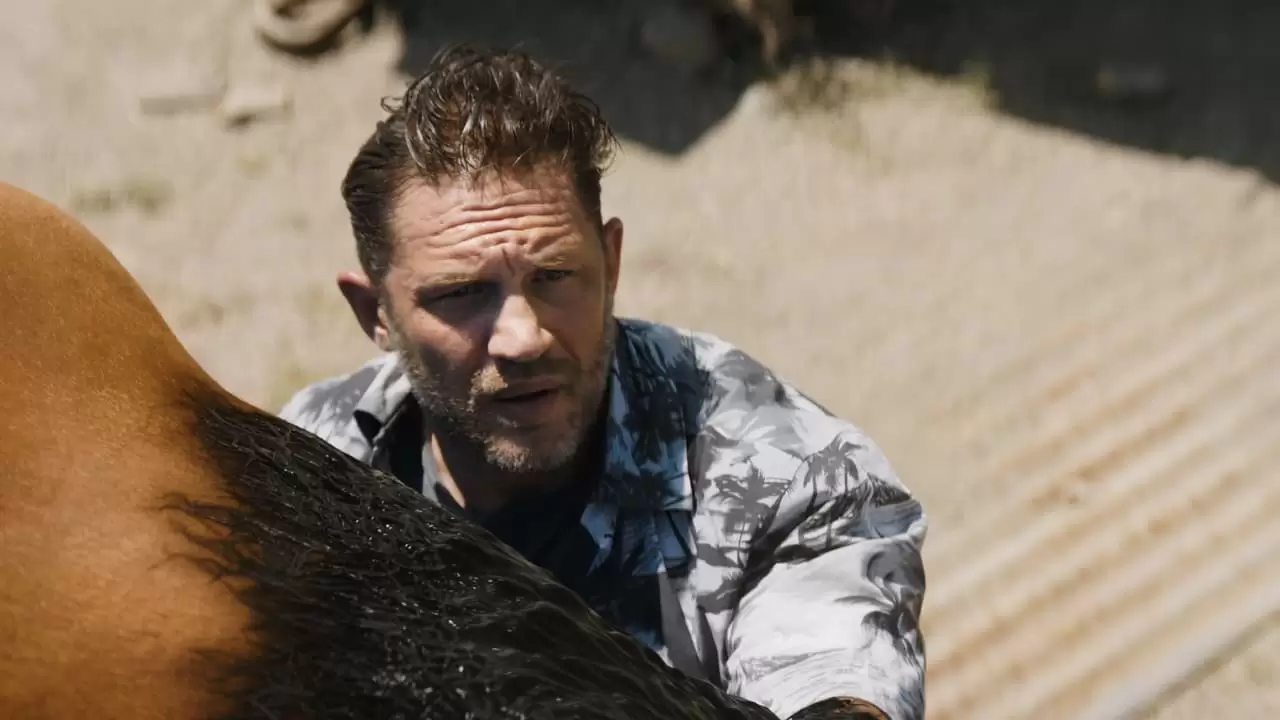 Venom: The Last Dance Backdrop
