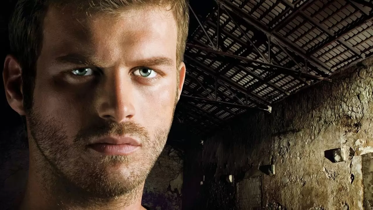 Kuzey Güney Backdrop