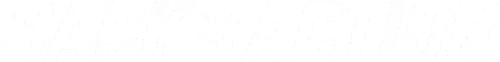 Back in Action Logo