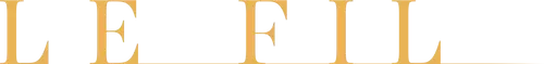 An Ordinary Case Logo