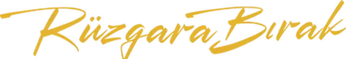 Chasing the Wind Logo
