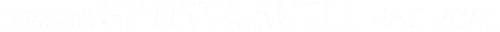 Ghost in the Shell SAC_2045 Logo